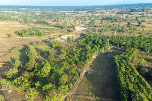 Land for sale in Nong Hai, Ubon Ratchathani