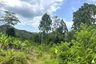 Land for sale in Tha Yu, Phang Nga