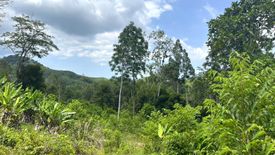 Land for sale in Tha Yu, Phang Nga