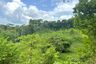 Land for sale in Tha Yu, Phang Nga