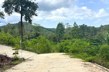 Land for sale in Tha Yu, Phang Nga