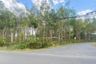 Land for sale in Thep Krasatti, Phuket