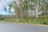 Land for sale in Thep Krasatti, Phuket