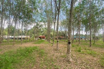 Land for sale in Thep Krasatti, Phuket