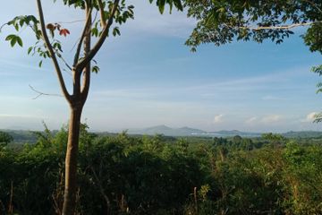 Land for sale in Tha Yu, Phang Nga