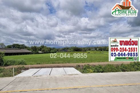 Land for sale in Chang Phueak, Chiang Mai