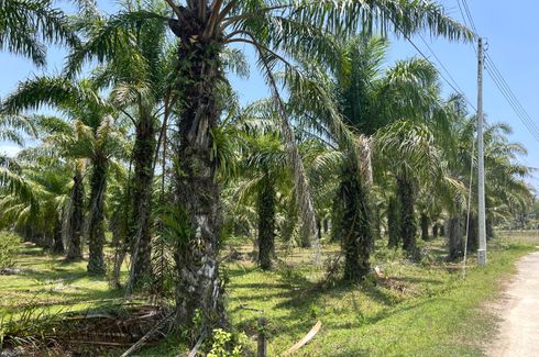 Land for sale in Khok Kloi, Phang Nga