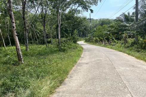 Land for sale in Na Toei, Phang Nga