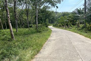 Land for sale in Na Toei, Phang Nga