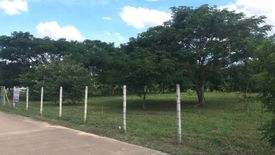 Land for sale in Nong Chom, Chiang Mai