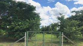 Land for sale in Nong Chom, Chiang Mai