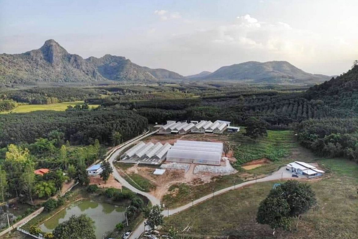 An Operational Commercial Hydroponic Farm Set On 35 Rai Of Beautiful