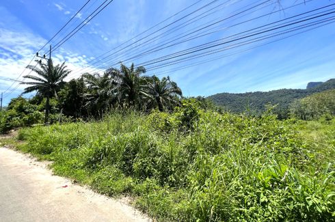 Land for sale in Nong Thale, Krabi