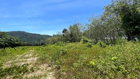 Land for sale in Nong Thale, Krabi