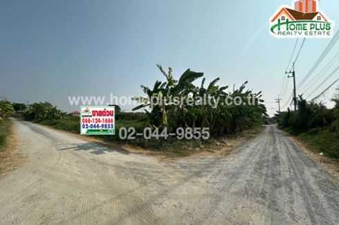 Land for sale in Khlong Yong, Nakhon Pathom