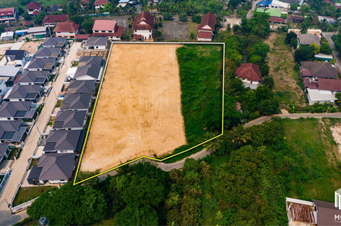 Land for sale in Pa Daet, Chiang Mai