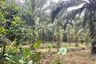 Land for sale in Tham, Phang Nga