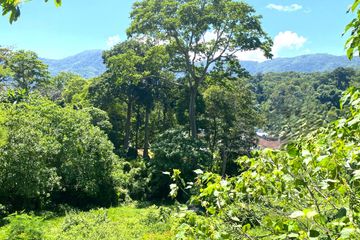 Land for sale in Kamala, Phuket