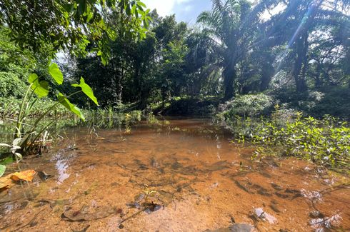 Land for sale in Na Toei, Phang Nga