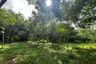 Land for sale in Na Toei, Phang Nga
