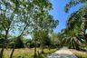 Land for sale in Na Toei, Phang Nga