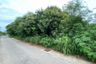 Land for sale in Nong Prue, Chonburi