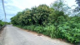 Land for sale in Nong Prue, Chonburi