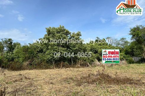 Land for sale in Nai Mueang, Nakhon Ratchasima