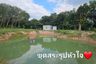 Land for sale in Khao Wua, Chanthaburi