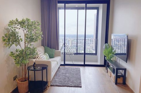 1 Bedroom Condo for rent in Ideo Q Sukhumvit 36, Khlong Tan, Bangkok near BTS Thong Lo