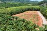 Land for sale in Nong Thale, Krabi