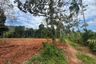Land for sale in Khao Thong, Krabi