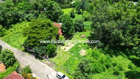 Land for sale in Talat Khwan, Chiang Mai