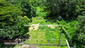 Land for sale in Talat Khwan, Chiang Mai