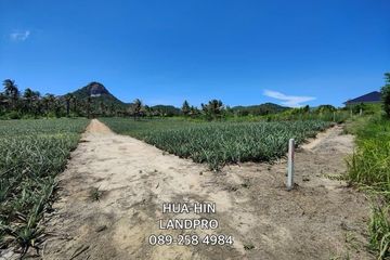 Land for sale in Wang Phong, Prachuap Khiri Khan
