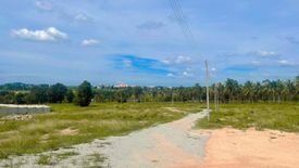 Land for sale in Nong Prue, Chonburi