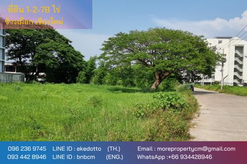 Land for sale in Chang Phueak, Chiang Mai