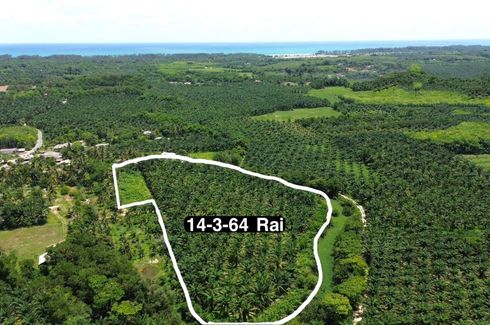 Land for sale in Na Toei, Phang Nga