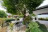 3 Bedroom House for Sale or Rent in Chae Chang, Chiang Mai