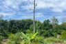 Land for sale in Bang Thong, Phang Nga
