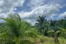 Land for sale in Bang Thong, Phang Nga