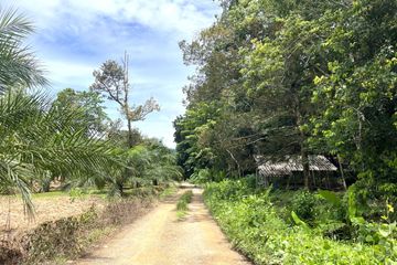 Land for sale in Tha Yu, Phang Nga