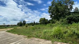 Land for sale in Choeng Doi, Chiang Mai