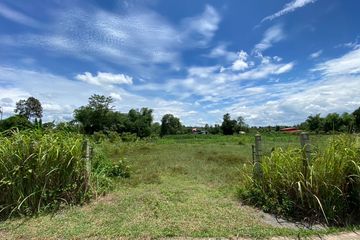 Land for sale in Choeng Doi, Chiang Mai