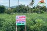 Land for sale in Nong Phai Kaeo, Chonburi