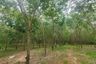 Land for sale in Bang Saphan, Prachuap Khiri Khan
