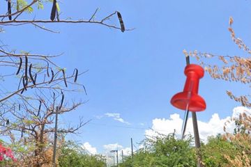 Land for sale in Bang Kao, Phetchaburi