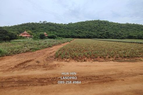 Land for sale in Sam Roi Yot, Prachuap Khiri Khan