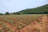Land for sale in Sam Roi Yot, Prachuap Khiri Khan