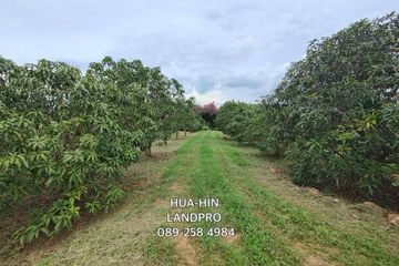 Land for sale in Sam Roi Yot, Prachuap Khiri Khan